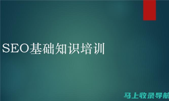 SEO初学者指南：搜索引擎优化入门基础概念解析